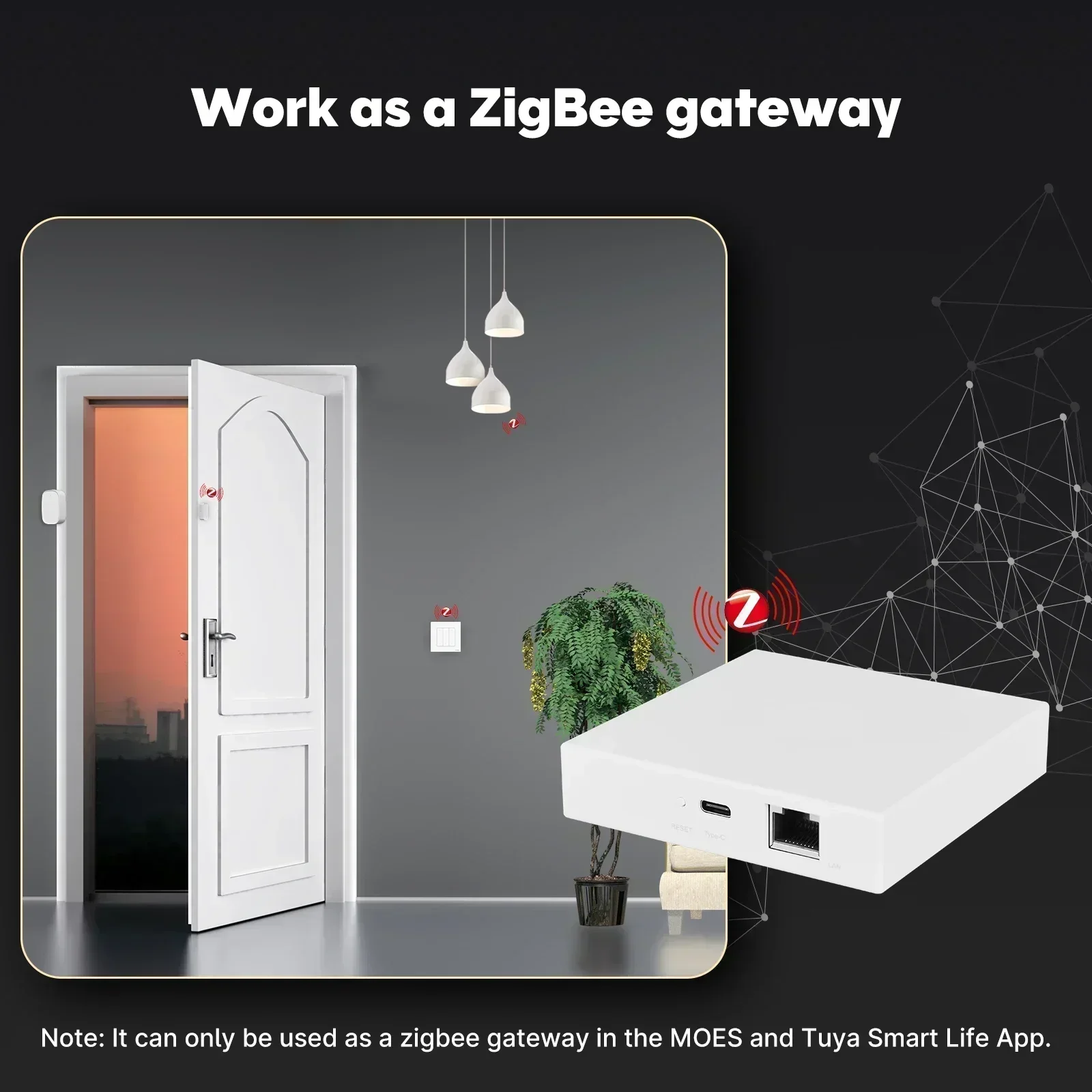 MOES Tuya Zigbee Matter Thread – обзор и цена Diy Home Electronics